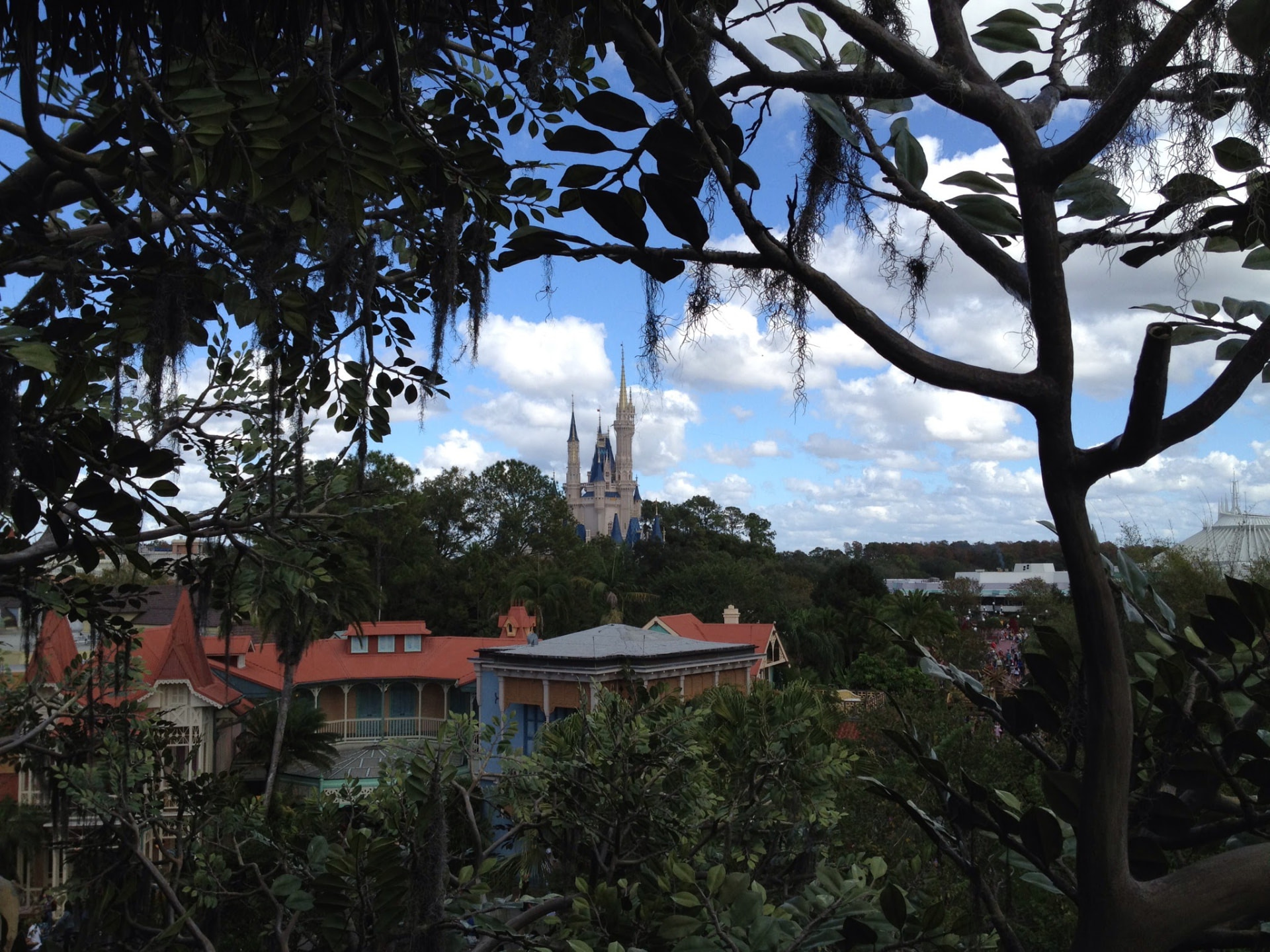 Cinderella Castle glimpsed through oak trees draped in Spanish moss